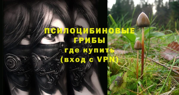 ECSTASY Бугульма