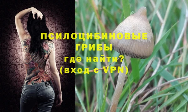 ECSTASY Бугульма