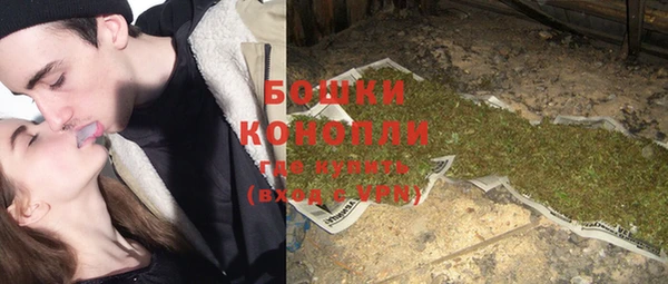 эйфоретик Бородино