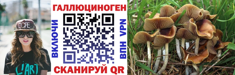 маркетплейс состав  Калининец  Псилоцибиновые грибы прущие грибы 